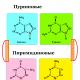 Днк и гены Свойства молекулы днк кратко