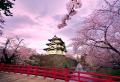 Journée de l'équinoxe de printemps au Japon Journée de l'équinoxe d'automne au Japon